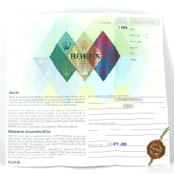 Đồng hồ Rolex Turnograph 116264･3 SSxWG tự động D - Hàng hiệu chính hãng 879941