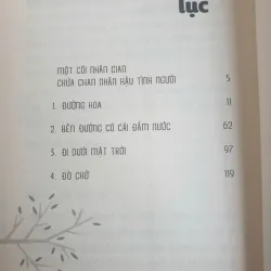 Hoa Gạo Đáy Hồ 736359