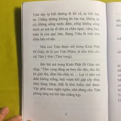 Con Trâu và Cái Tâm (Bí Lục Theo Trâu) - HT Đắc Huyền - Thích Như Phước Tú 630515