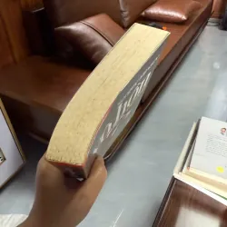 Vô Hồn (Duhless) – Sergey Minaev | Tiểu thuyết best-seller Nga | Sách văn học hiện đại 975281