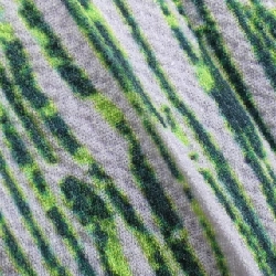 【Mã giảm giá】Henrik Vibskov HENRIK VIBSKOV Quần 655002