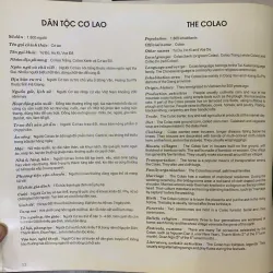 ĐẠI GIA ĐÌNH CÁC DÂN TỘC VIỆT NAM - NHIỀU TÁC GIẢ 751303