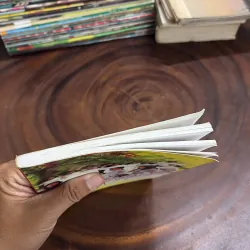 II Văn Học: Tựu Trường - Xuân Diện - 2010 998100