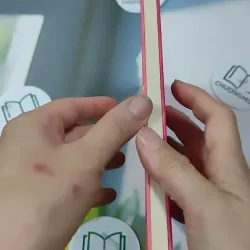 Bánh Tây Phương - Nguyễn Thu Dung & Nguyễn Thị Thanh Nhàn 727309