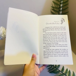 [Sách tiếng Anh 2hand] Like new 90% - Alicia's Treasure - Diane Gonzales Bertrand 494084