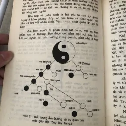 Trang trí nội ngoại thất theo thẩm mỹ và phong thủy phương Đông 996912