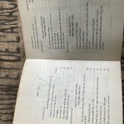 V Phật giáo sử lược - Nguyễn Lang- Thích Nhất Hạnh  1013101