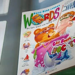 Gấu Bogie Học Từ - NXB Dân Trí - Đông A (Dan Tri - Dong A Publishing) 607708