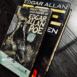 Combo 2 tác phẩm Edgar Allan Poe 447137