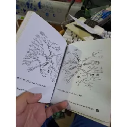 Lập bản đồ tư duy - Tony Buzan GIÁO TRÌNH, CHUYÊN MÔN HCM1008 577375