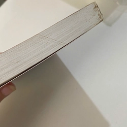 Các triều đại Việt Nam (Quỳnh Cư - Đỗ Đức Hùng) 499597