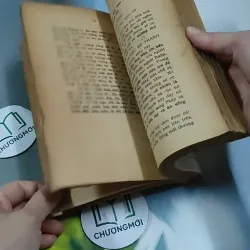 Tâm Hồn Cao Thượng (1989) 713894