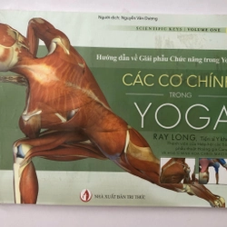 HƯỚNG DẪN VỀ GIẢI PHẪU CHỨC NĂNG TRONG YOGA CÁC CƠ CHÍNH TRONG YOGA