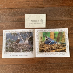 Combo 3c tập đọc Science Emergent Readers: Coral Reef; Desert; Nests, Nests, Nests, Used 477815