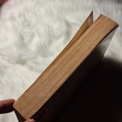 The Norton Anthology of Poetry 780098