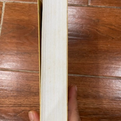 Lũ người quỷ ám - F. Doxtoevxki (k1) 540965