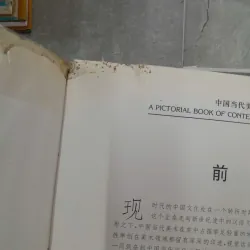 A PICTORIAL BOOK OF CONTEMPORARY CHINESE ARTISTS 751470