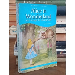 Alice in Wonderland and Through the Looking Glass - Lewis Carroll