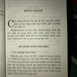 Thuốc quý vườn nhà bạn - Chữa bệnh bằng cây thuốc nam - Mai Hoa 936884