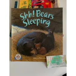 Shh! Bears Sleeping – David Martin 561133
