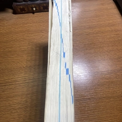 The Australian Integrated Primary school dictionary & thesaurus 408655