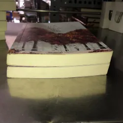 Hoá ra anh vẫn ở đây - Tân Di Ổ 1019141