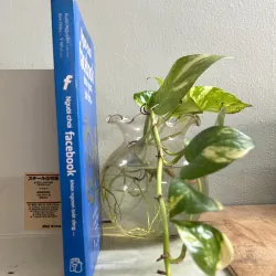 Người chơi facebook khôn ngoan biết rằng 751827