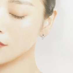 PT900 Pave Bông Tai - Hàng hiệu Chính hãng 874317