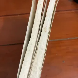 Hương hoa đất nước Trọng Toàn bộ 2 tập 1005181