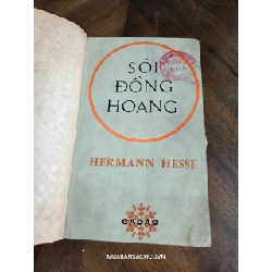Sói đồng hoang - Hermann Hess