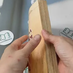 Cơ Sở Văn Hóa Việt Nam - Lê Văn Chưởng 727231