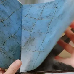 [Tặng nẹp góc] Truyện thiếu nhi Hàn Quốc: Moyamo Anu 27 -  모야모 아누와: 은혜 갚은 물고기 732020