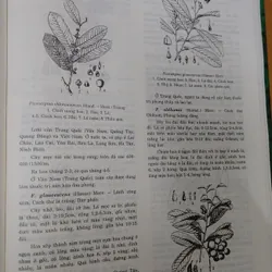 TỪ ĐIỂN THỰC VẬT THÔNG DỤNG TẬP 1 676003