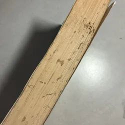 Phục hồi trẻ tàn tật tại cộng đồng - David Werner 783144