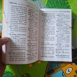 Từ điển Việt - Anh (The Vietnamese - English Dictionary) 1024159