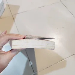 Sơn Nam lịch sử khẩn khoang miền nam 596305