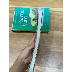 Sáng ngời gương nhân hậu- Minh Giang 576869