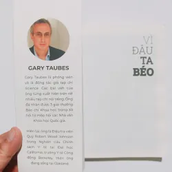 Vì Đâu Ta Béo 934077