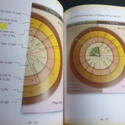Con Đường Xuất Tục Nhập Thế - Thầy Hằng Trường 680749