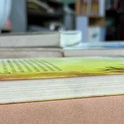 Săn vàng miền viễn bắc 🌊 692777