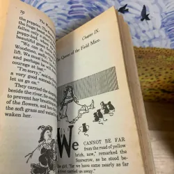 The Wonderful Wizard of Oz -  L. Frank Baum 926384