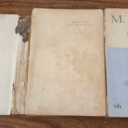 Combo 2q truyện ngắn của Maxim Gorky  763054