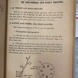 VẠN VẬT HỌC LỚP MƯỜI MỘT A - ĐỖ DANH TẦM & NGUYỄN VĂN LONG 718338