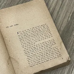 Một số nền mỹ thuật thế giới 713036