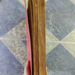 Hình luật đặc biệt Việt Nam - Hà Như Vinh 701493