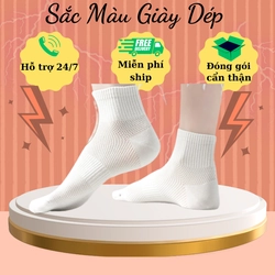 Combo 4 đôi vớ tất nữ cotton  thoáng khí