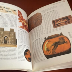PICTURE BOOK The encyclopedia of horses & ponies 536856
