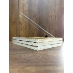 Truyện tranh Fly High - Natsumi Ouchi 1028945