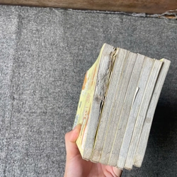 Truyện Cún Con Momo - Trọn Bộ 7 Tập - NXB Kim Đồng 277054