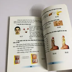 CHỮA BỆNH BẰNG ĐỒ HÌNH PHẢN CHIẾU & ĐỒNG ỨNG THEO PHƯƠNG PHÁP DIỆN CHẨN ĐIỀU KHIỂN LIỆU   604731